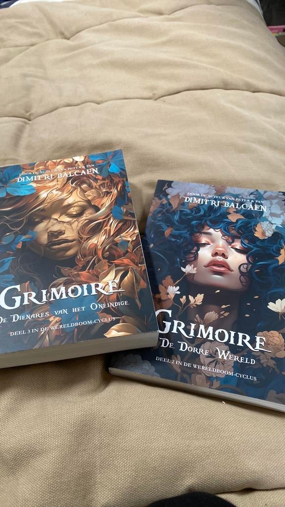 Dimitri Balcaen - De dienares van het oneindige en deel 2, Boeken, Fantasy, Zo goed als nieuw, Ophalen of Verzenden