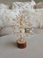 Rozenkwarts Edelsteenboom - 18cm, Ophalen of Verzenden, Nieuw