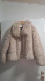 Copperose jas maat xl, Ophalen of Verzenden, Zo goed als nieuw, Maat 46/48 (XL) of groter