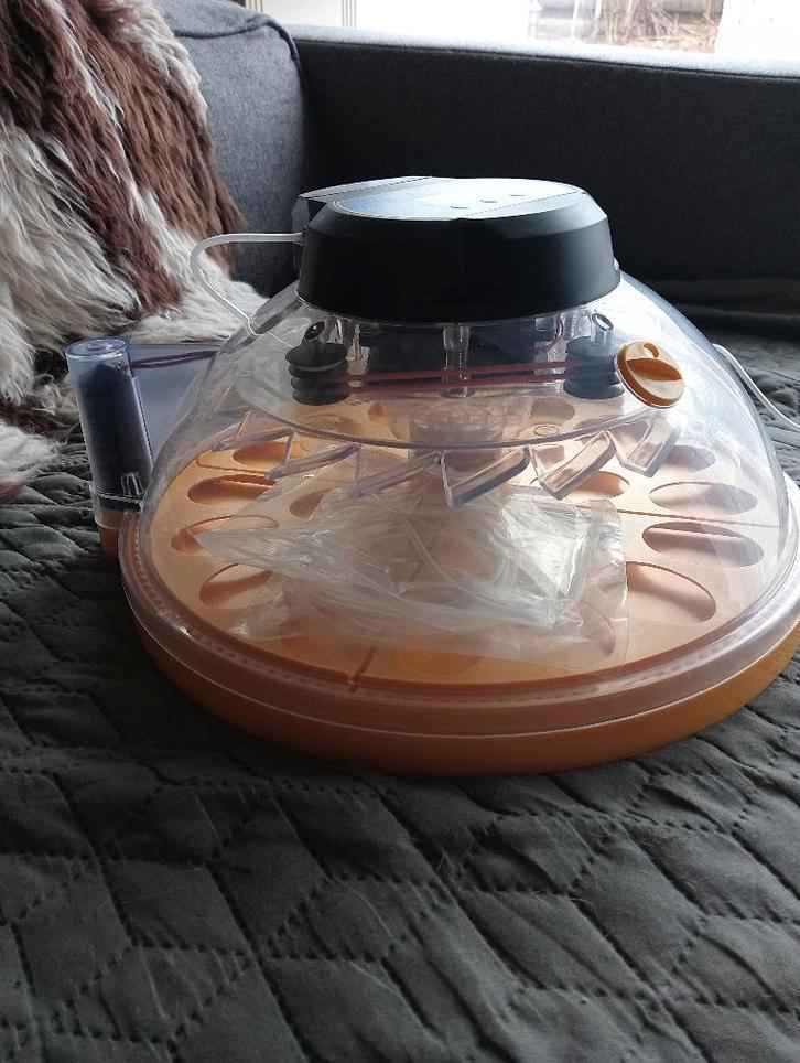 Broedmachine, Dieren en Toebehoren, Pluimvee | Toebehoren, Nieuw, Broedmachine, Ophalen of Verzenden