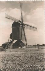 BERGEIK /  MOLEN, Verzenden, 1940 tot 1960, Gelopen, Noord-Brabant