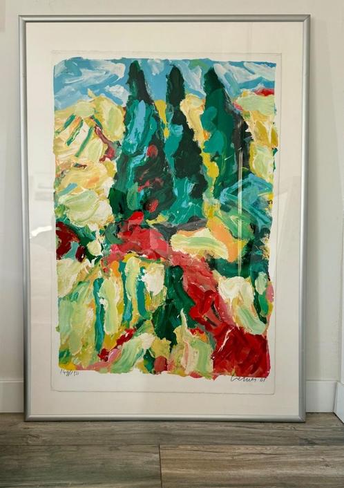 Jan Cremer, Antiek en Kunst, Kunst | Litho's en Zeefdrukken, Ophalen