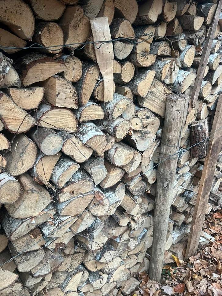 Berkenhout, € 120/m3, droog + gekloofd. 15 m3 beschikbaar,, Tuin en Terras, Haardhout, Berkenhout, 6 m³ of meer, Ophalen of Verzenden