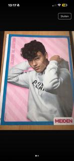 Alesso De Martino & Zara Larsson Poster, Ophalen of Verzenden, Zo goed als nieuw, Poster, Artwork of Schilderij