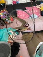 raamhanger met vogel erop ovaalmodel, Antiek en Kunst, Curiosa en Brocante, Ophalen of Verzenden