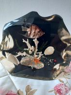 Onderwater sfeer maanvis/koraal/schelpen, Ophalen of Verzenden