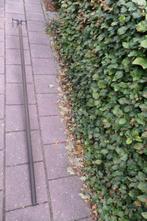 Sloothaak - Slootklauw -  240cm - Viertander - €40,00, Tuin en Terras, Hand-tuingereedschap, Ophalen, Zo goed als nieuw, Hark