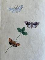 antieke kopergravure, Antiek en Kunst, Kunst | Etsen en Gravures, Ophalen of Verzenden