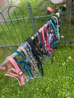 18 halsters in maat mini tot pony, Dieren en Toebehoren, Ophalen of Verzenden, Zo goed als nieuw, Overige soorten