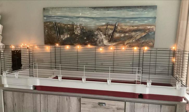 Cavia kooi 2 meter, Dieren en Toebehoren, Knaagdieren en Konijnen | Hokken en Kooien, Zo goed als nieuw, Kooi, Minder dan 60 cm