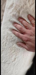 Extra Zachte Fluffy Vloerkleden Dik Heaven Taupe Zand Creme, Info@decorini.nl, Heaven stijl, 150 tot 200 cm, Ophalen of Verzenden
