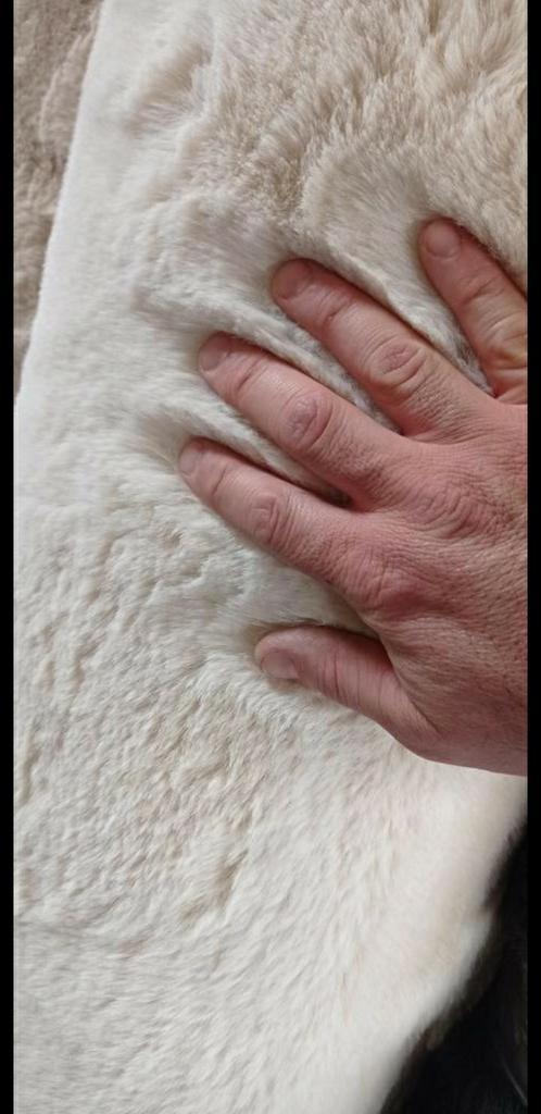 Extra Zachte Fluffy Vloerkleden Dik Heaven Taupe Zand Creme, Huis en Inrichting, Stoffering | Tapijten en Kleden, Nieuw, 150 tot 200 cm