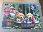 Legpuzzel 1000 stukjes compleet king puppies drinken water, Ophalen of Verzenden, Zo goed als nieuw