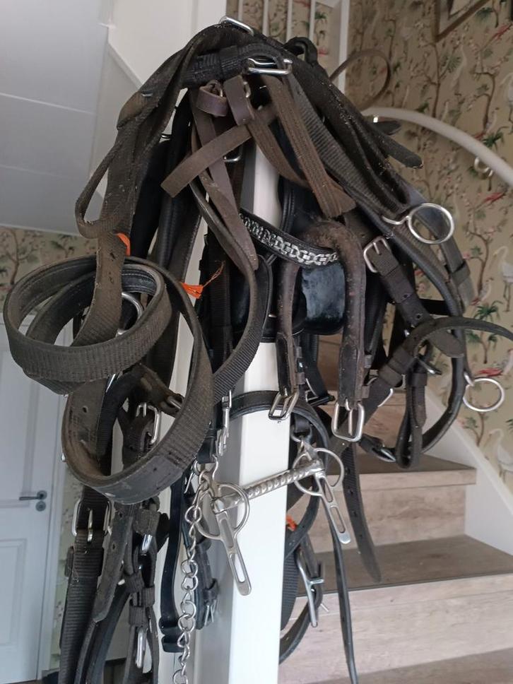 Ideal tuig maat cob., Dieren en Toebehoren, Paarden en Pony's | Hoofdstellen en Tuigage, Nieuw, Overige soorten, Ophalen