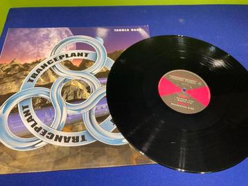 Vinyl Plaat - Diverse Formaten beschikbaar voor biedingen