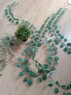 Kunstplanten / decoratie Ikea, Huis en Inrichting, Woonaccessoires | Kunstplanten en Kunstbloemen, Ophalen of Verzenden, Zo goed als nieuw