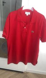 Tekoop aangeboden een mooie lacoste polo origineel, Maat 48/50 (M), Lacoste, Ophalen of Verzenden, Gedragen