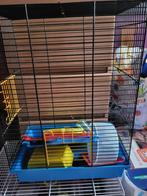 Mini hamsterkooien of muizenkooi, Dieren en Toebehoren, Knaagdieren en Konijnen | Hokken en Kooien, Kooi, Minder dan 75 cm, Hamster