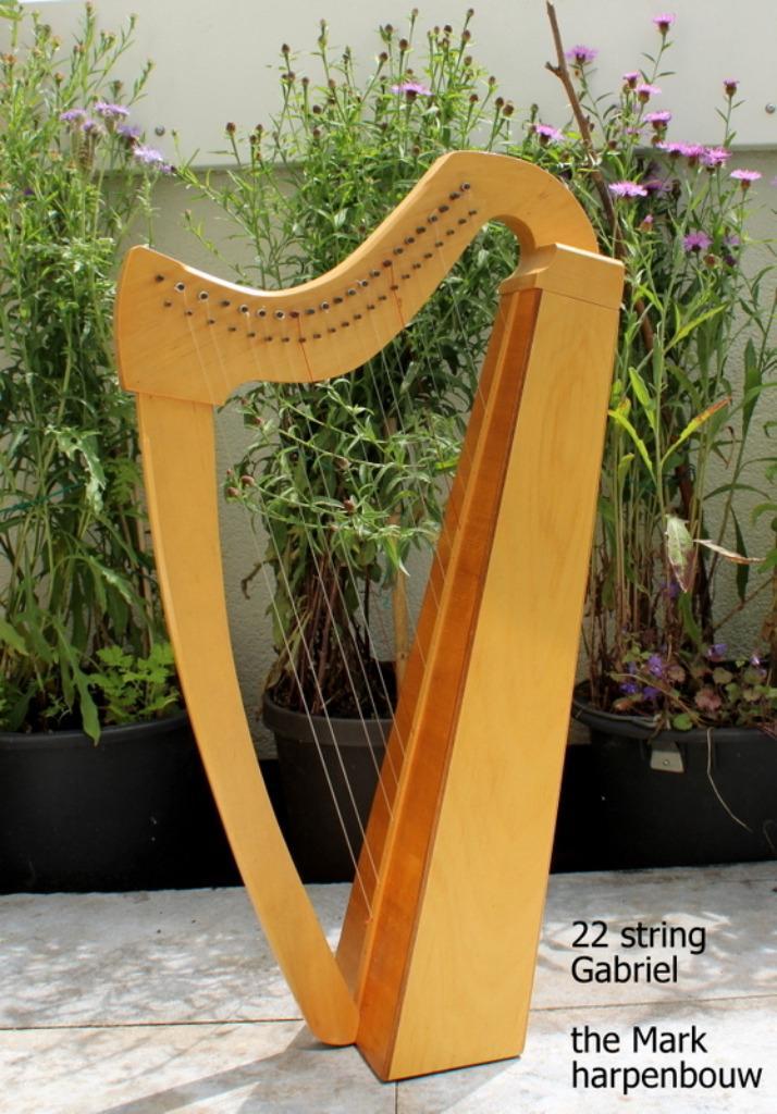 Mark Lester's Luthier Harp 'Gabriel' 22 snaren, Muziek en Instrumenten, Snaarinstrumenten | Harpen, Gebruikt, Ophalen