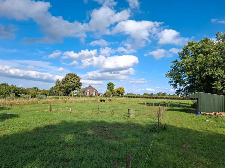 Wij hebben plek Shetlander wei in beers ( cuijk ), Dieren en Toebehoren, Stalling en Weidegang