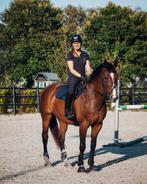 ORUN 3 instructie – dressuur, springen & jonge paarden, Ruiter of Bijrijder