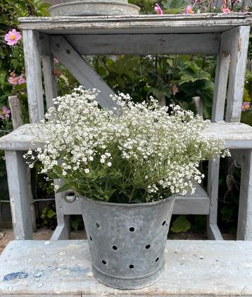 Brocante oud zinken emmertje met gaatjes / kaasmal beschikbaar voor biedingen