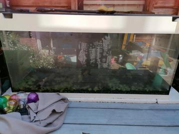 Aquarium juwel Rio 180 beschikbaar voor biedingen