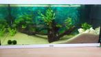 Juwel aquarium 180, Ophalen, Gebruikt, Leeg aquarium