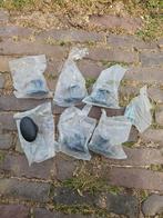 6 Nieuwe Deurknoppen in Verpakking, Doe-het-zelf en Verbouw, Hang- en Sluitwerk, Ophalen, Nieuw, Overige typen