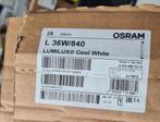 Osram L 36 W/840 nieuw in doos 21 stuks, Ophalen, Nieuw