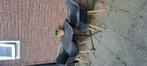 Mooie tuinset te koop! 2 stoelen en tafel, Tuin en Terras, Ophalen, Zo goed als nieuw, Kunststof, Overige typen