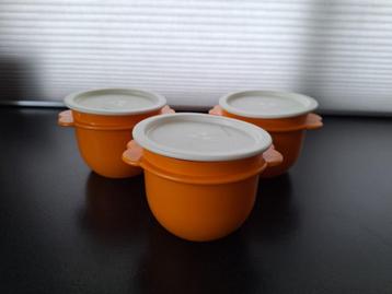 Tupperware bakjes met deksel beschikbaar voor biedingen