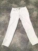 Witte paardrijbroek maat 42 zonder grip, Dieren en Toebehoren, Paardrijkleding, Ophalen of Verzenden, Zo goed als nieuw, Dressuur