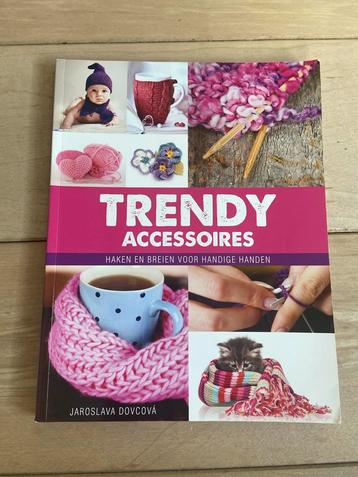 Trendy Accessoires: Haken & Breien Boek beschikbaar voor biedingen