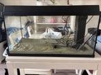 Juwel Primo 110 Aquarium - compleet en in goede staat, Ophalen, Zo goed als nieuw, Leeg aquarium