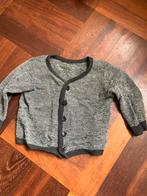Disana wollen vest maat 86-92, Ophalen of Verzenden, Gebruikt, Jongetje of Meisje, Truitje of Vestje