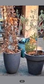 Capi potten, Ophalen, Kunststof, Minder dan 60 cm, Rond