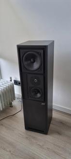 ASW Cantius ML IV Staande Luidsprekers - Topkwaliteit!, Ophalen, Gebruikt