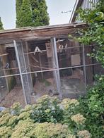 Valkparkieten te koop, Dieren en Toebehoren, Meerdere dieren, Parkiet
