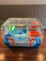 Hamster kooi, Dieren en Toebehoren, Kooi, Minder dan 75 cm, Hamster, Ophalen