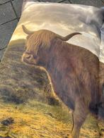 Zitzak hooglanders whow!! €65,- afhaal, Ophalen