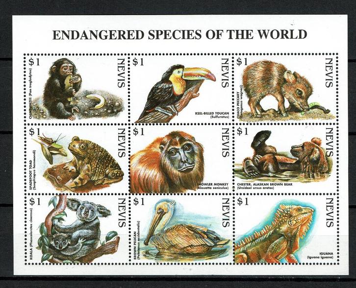 nevis 1998 pf blok wildlife zoogdieren vogels geptielen, Postzegels en Munten, Postzegels | Thematische zegels, Postfris, Dier of Natuur
