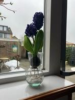 Chenilledraad bloemen en planten decoratie, Overige soorten, In pot, Minder dan 100 cm, Bloeiende kamerplant