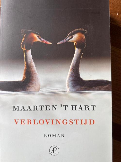 Verlovingstijd - Maarten 't Hart, Boeken, Romans, Zo goed als nieuw, Nederland, Ophalen of Verzenden