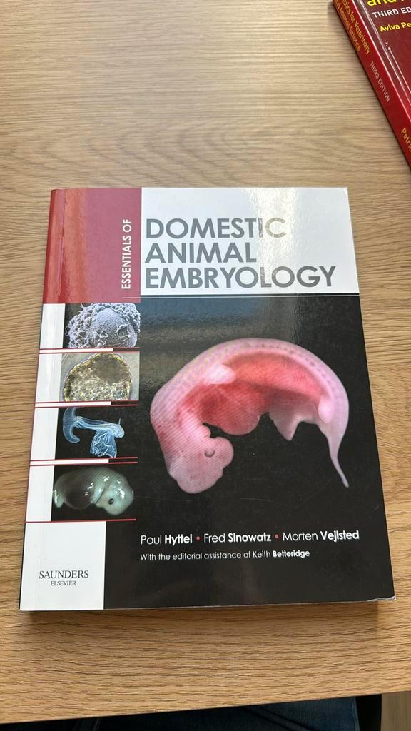 Hyttel Essentials of Domestic Animal Embryology, Boeken, Studieboeken en Cursussen, Zo goed als nieuw, WO, Beta, Ophalen