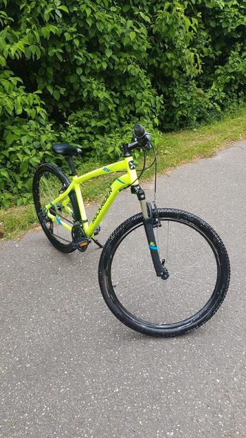 Decathlon Rockrider maat L beschikbaar voor biedingen