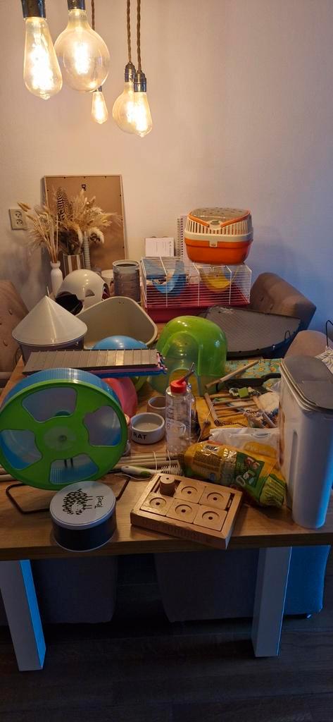 Spullen voor in  de rattenkooi en extra, Dieren en Toebehoren, Knaagdieren en Konijnen | Toebehoren, Ophalen of Verzenden