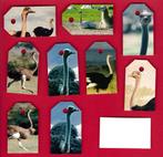 3118) struisvogel labeltjes, Ophalen of Verzenden, Zo goed als nieuw, Overige typen