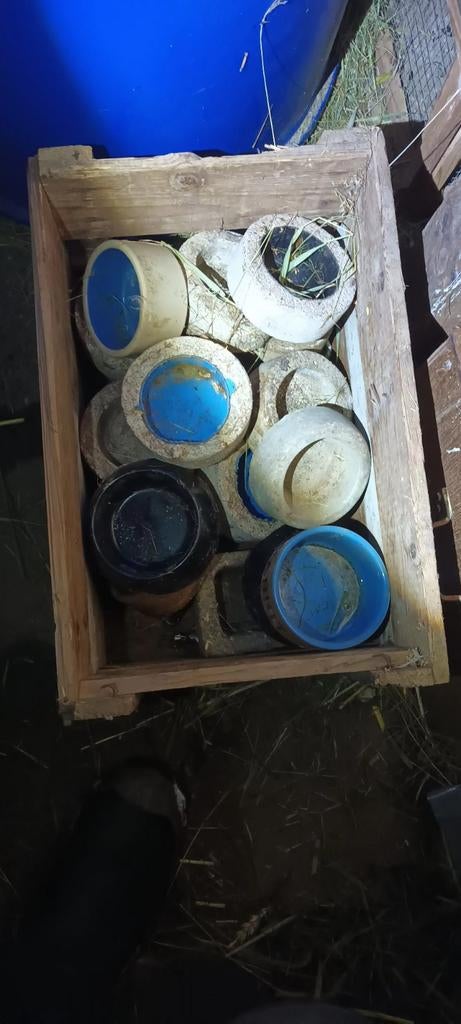 Voer/ drinkbakken uitzoeken voor 1,50 ps, Dieren en Toebehoren, Ophalen of Verzenden, Gebruikt, Voerbakje