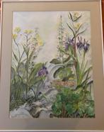 Bastin Aquarel vijver met Irissen en Vingerhoedskruid, Ophalen of Verzenden